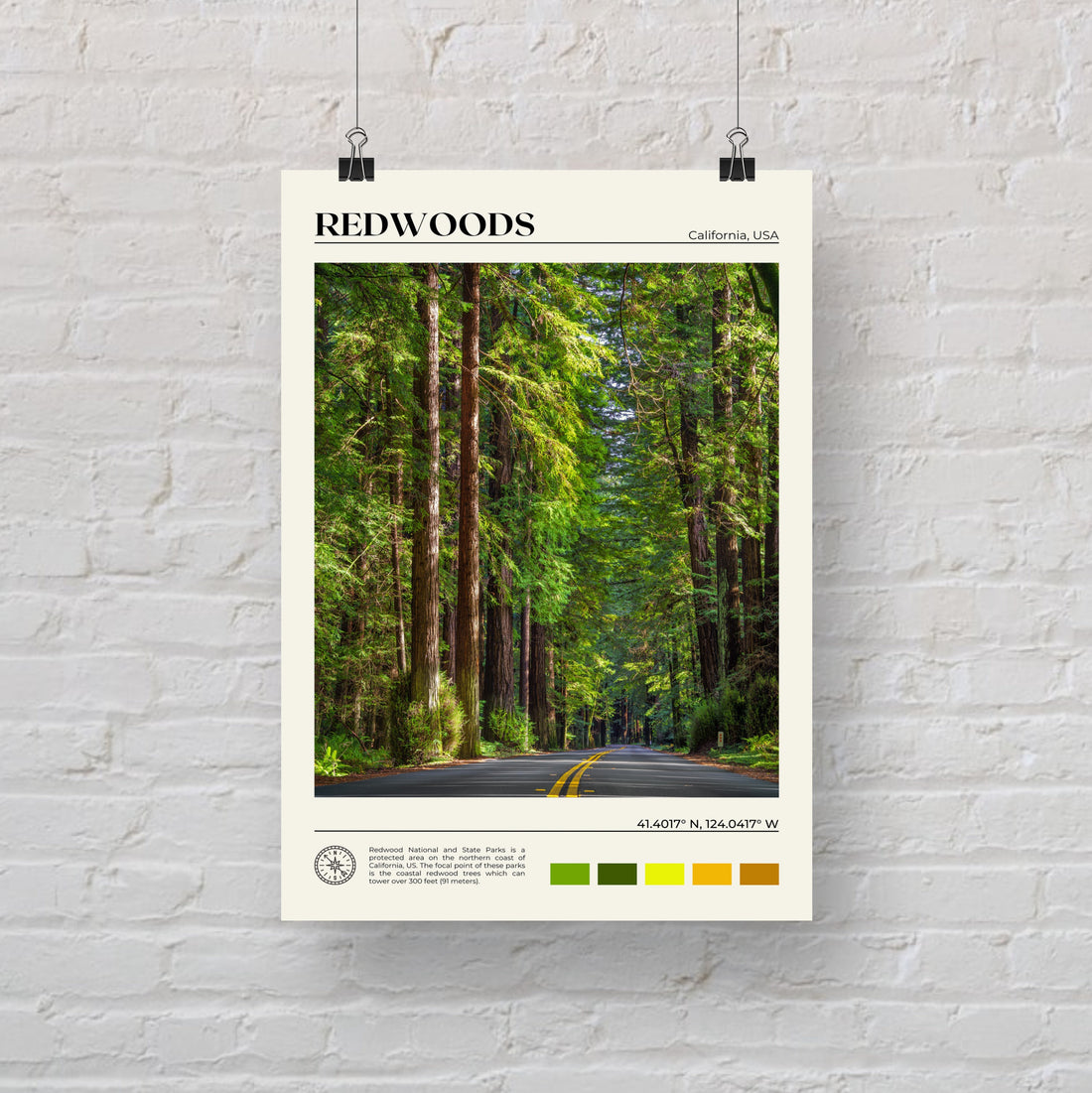 Redwoods Poster