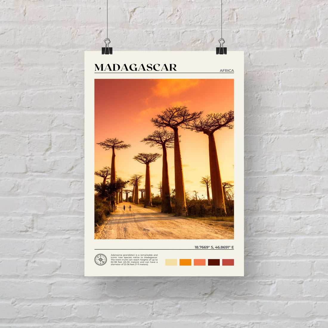 Madagascar Poster