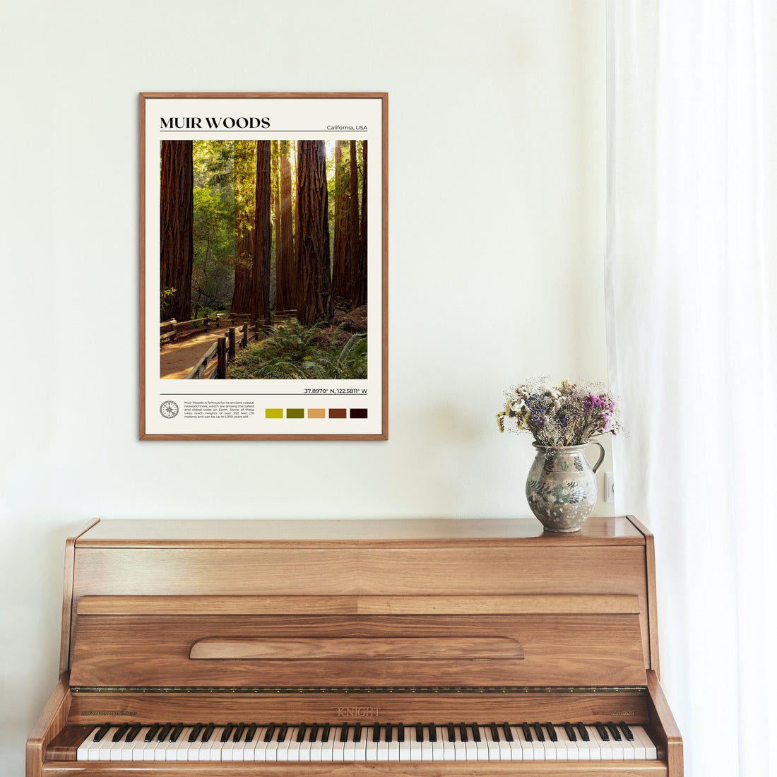 Muir Woods Poster