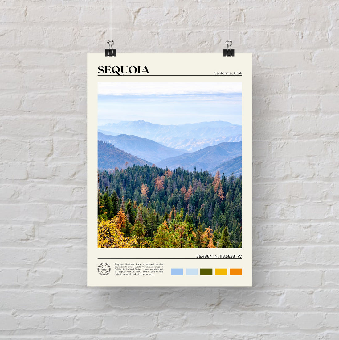 Sequoia Poster