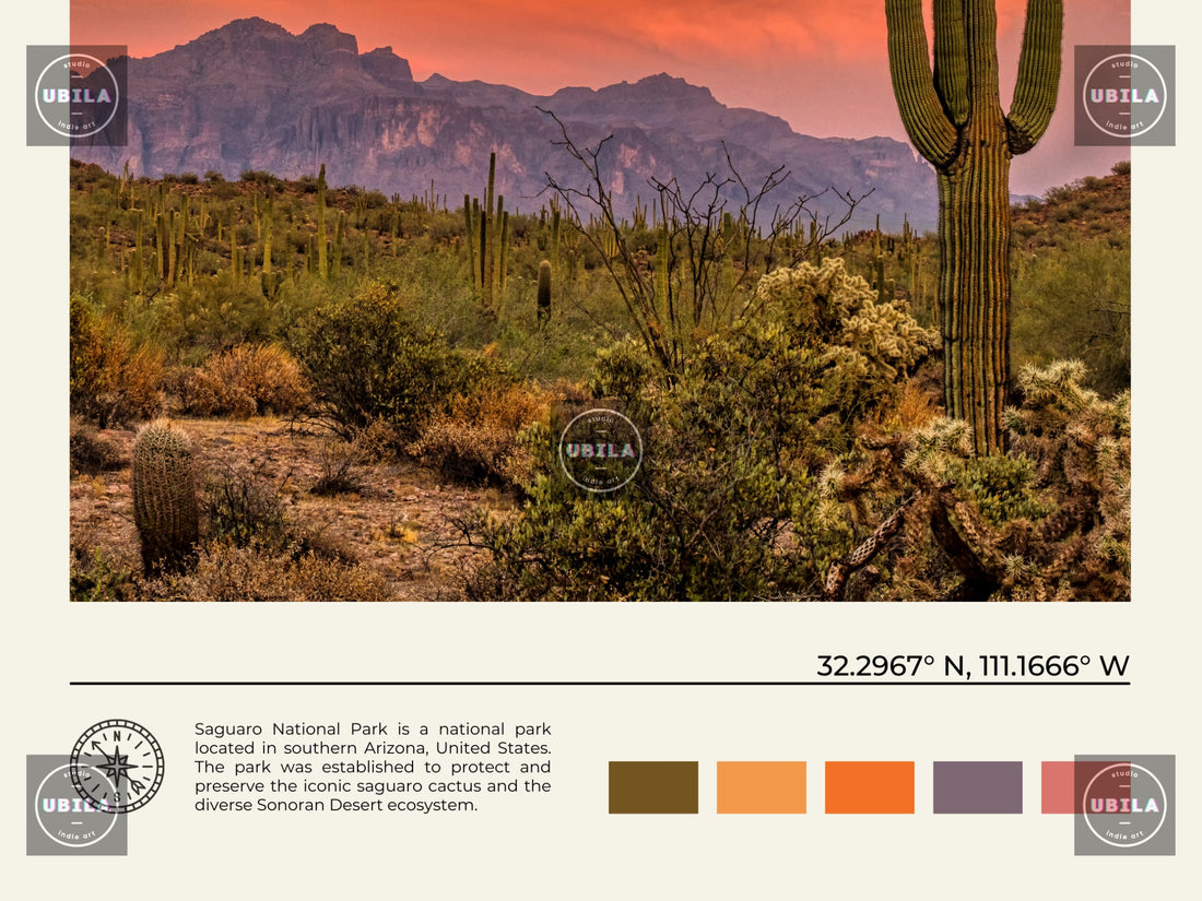 Saguaro Poster