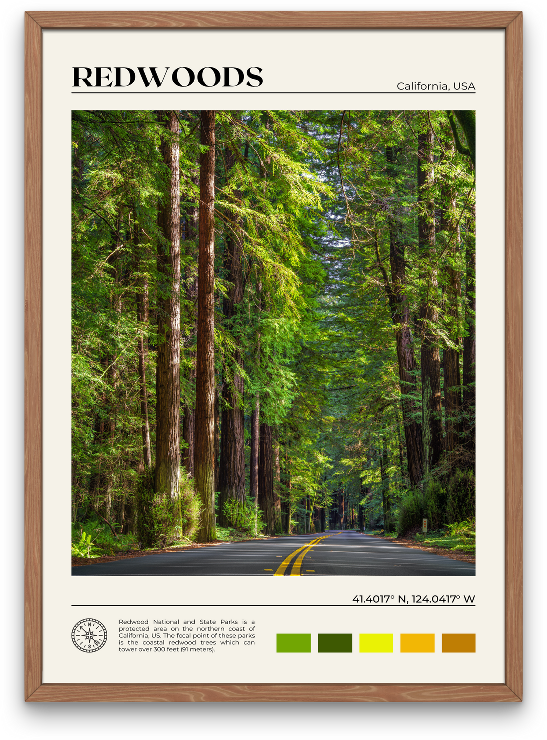 Redwoods Poster